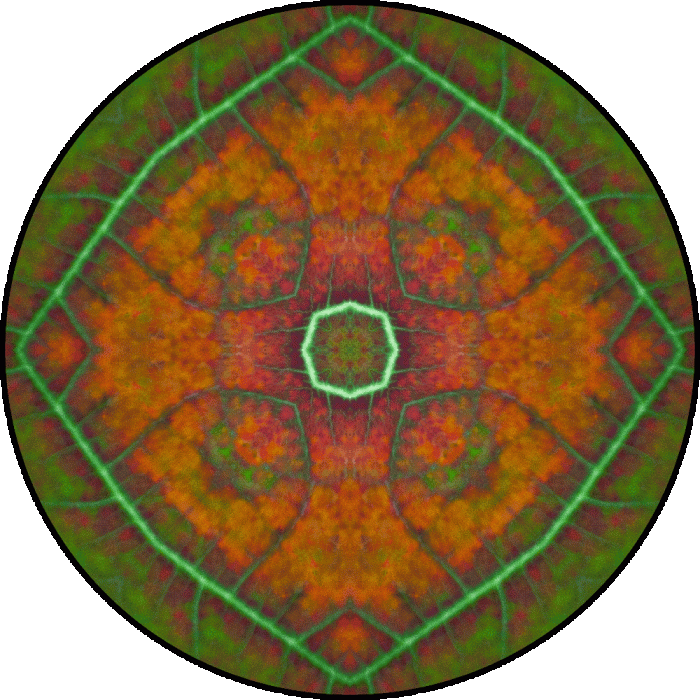 Daily Digital Mandala 773