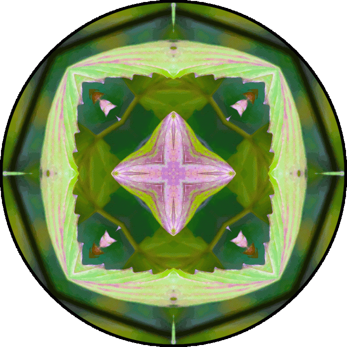 Daily Digital Mandala 784