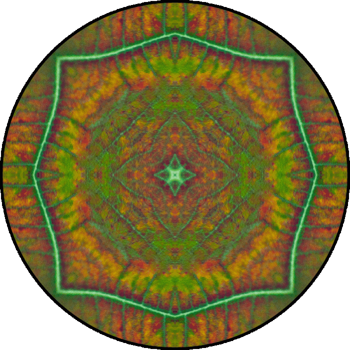 Daily Digital Mandala 790