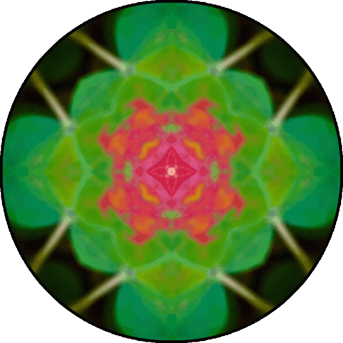 Daily Digital Mandala 791