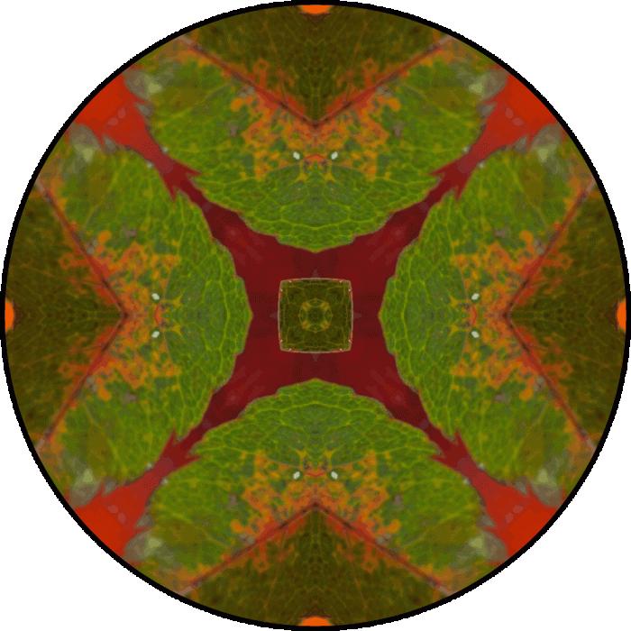 Daily Digital Mandala 795