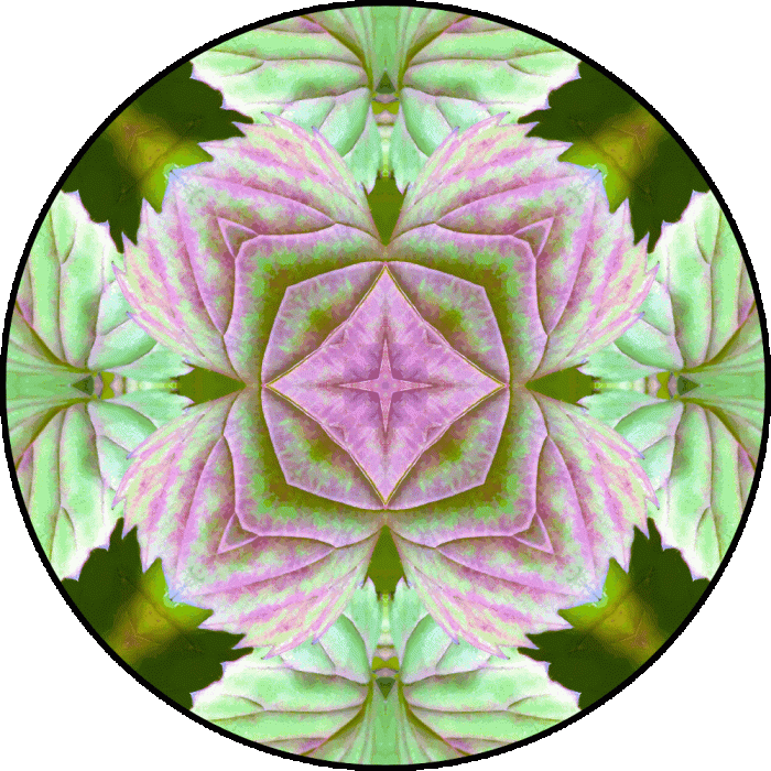 Daily Digital Mandala 800
