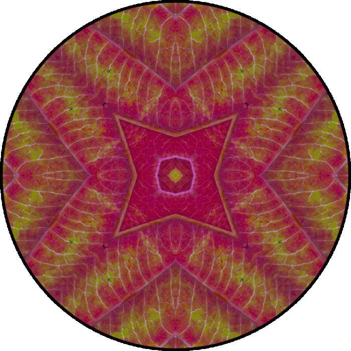 Daily Digital Mandala 807