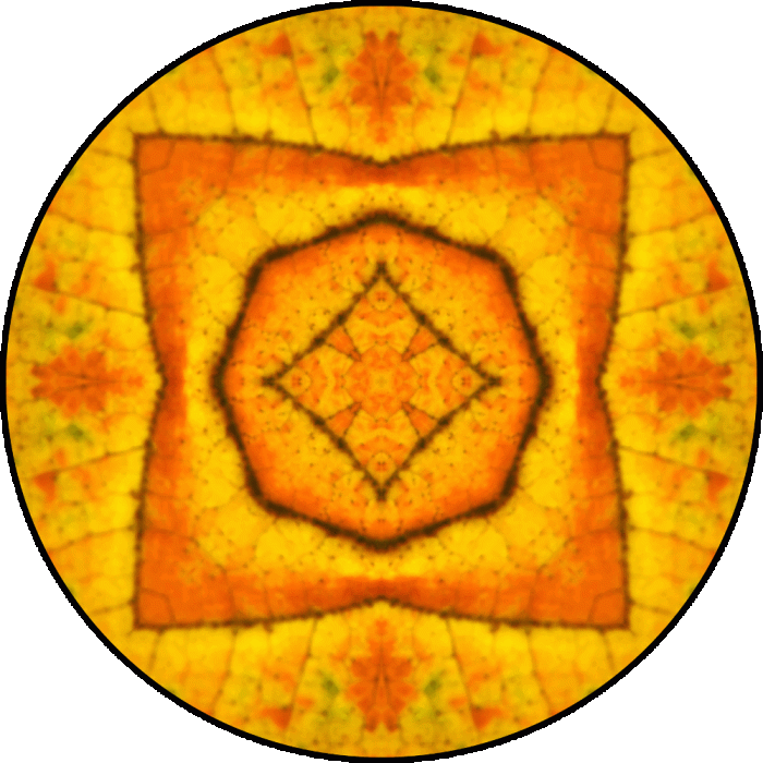 Daily Digital Mandala 812