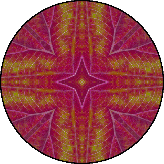 Daily Digital Mandala 823