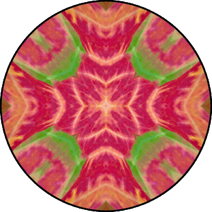 Daily Digital Mandala 824