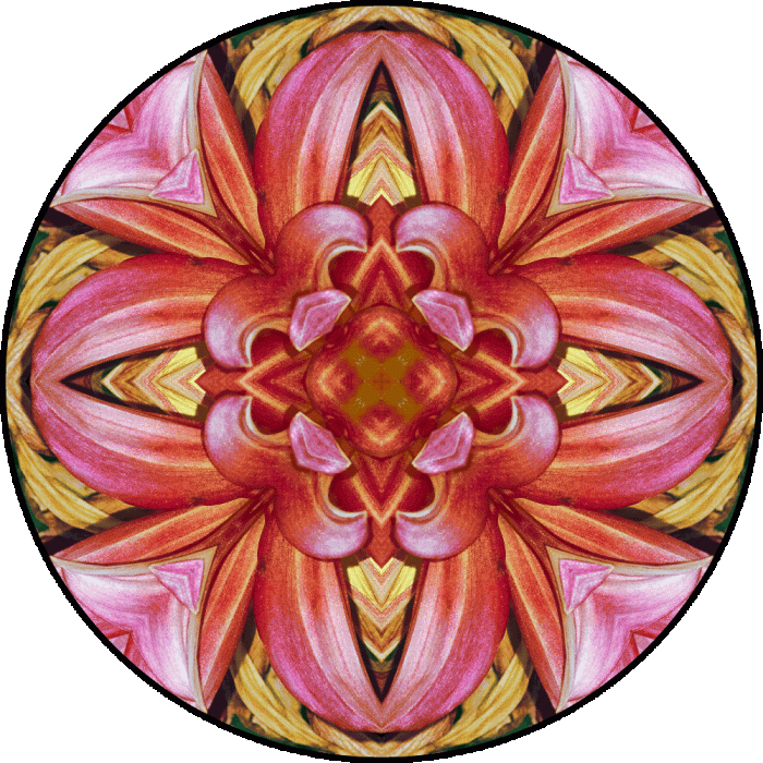 Daily Digital Mandala 830