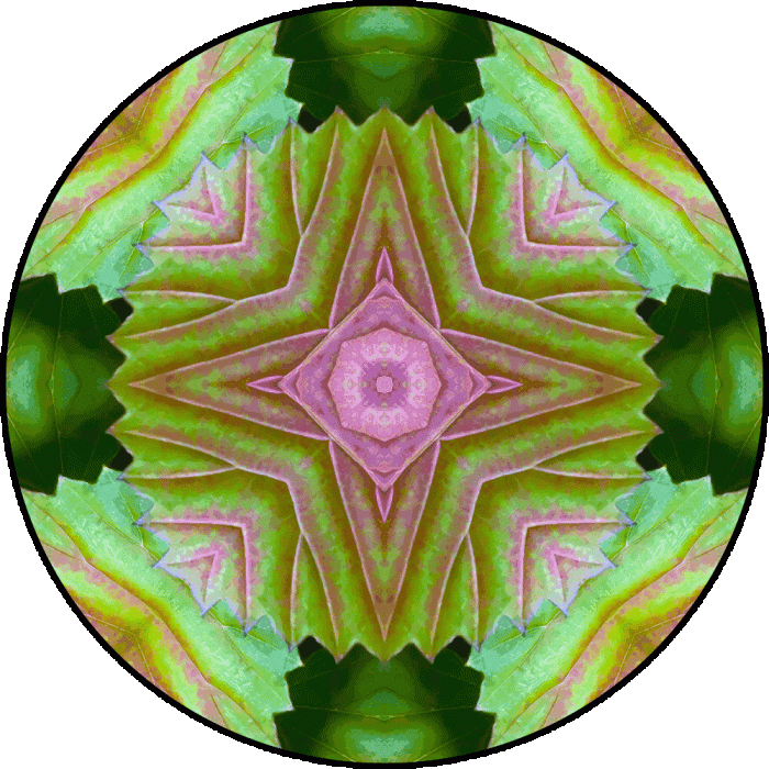 Daily Digital Mandala 816
