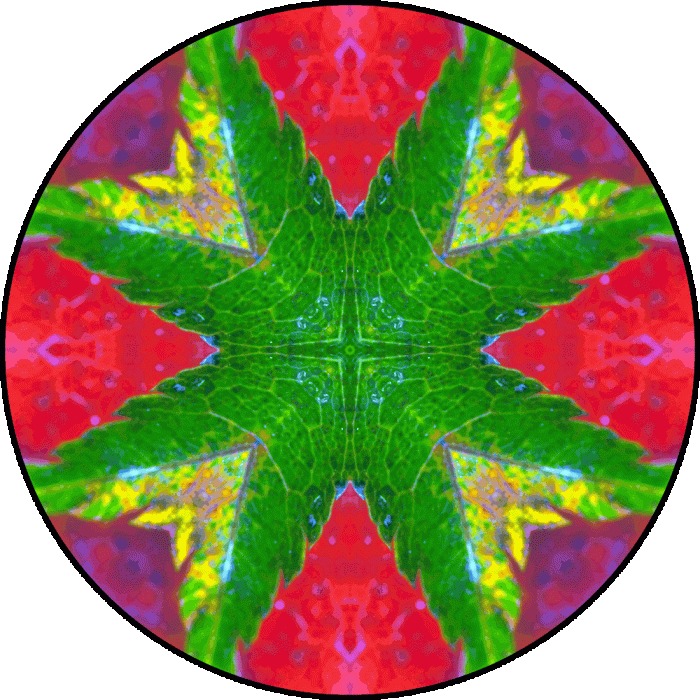 Daily Digital Mandala 827