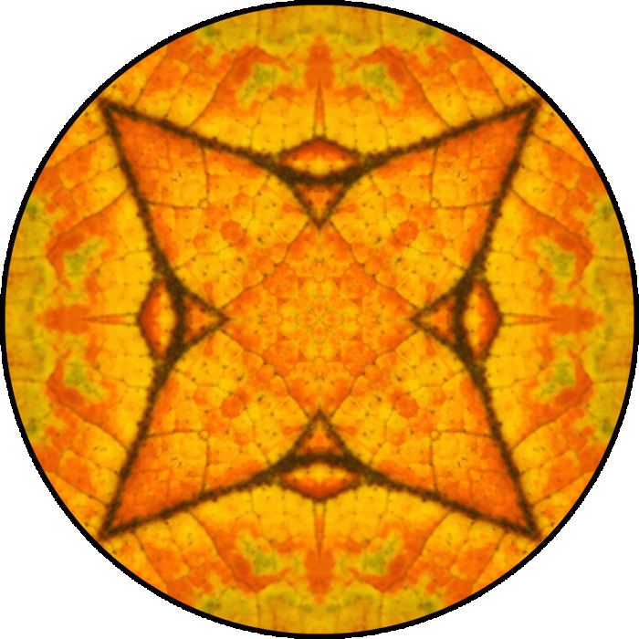 Daily Digital Mandala 828