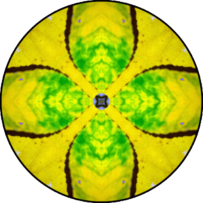 Daily Digital Mandala 841