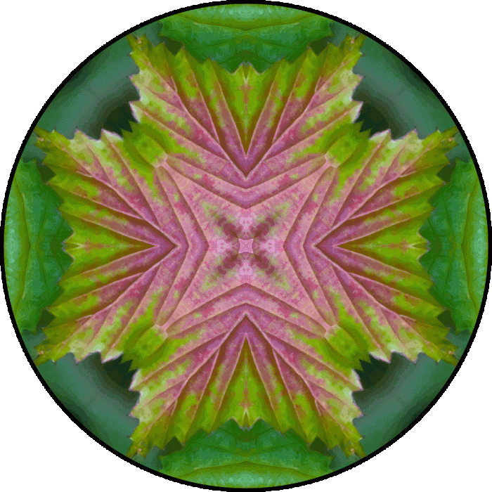 Daily Digital Mandala 832