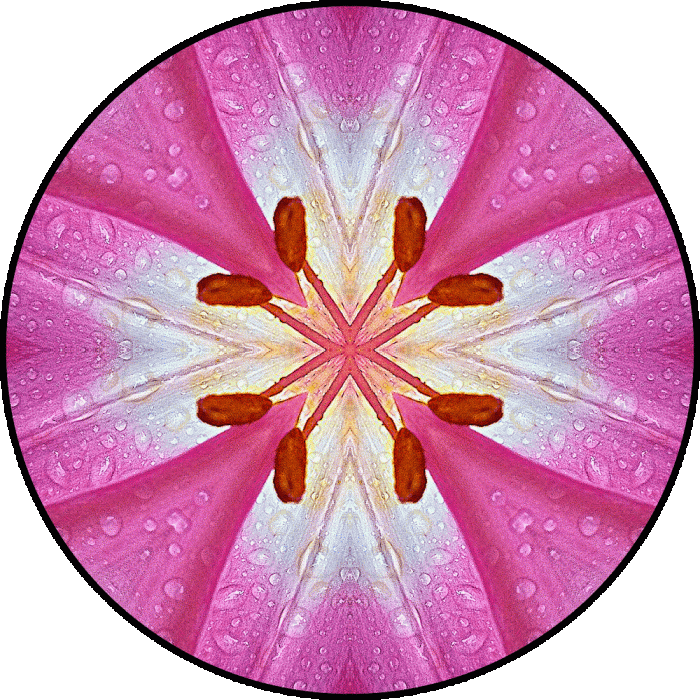 Daily Digital Mandala 833