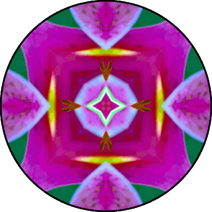 Daily Digital Mandala 851