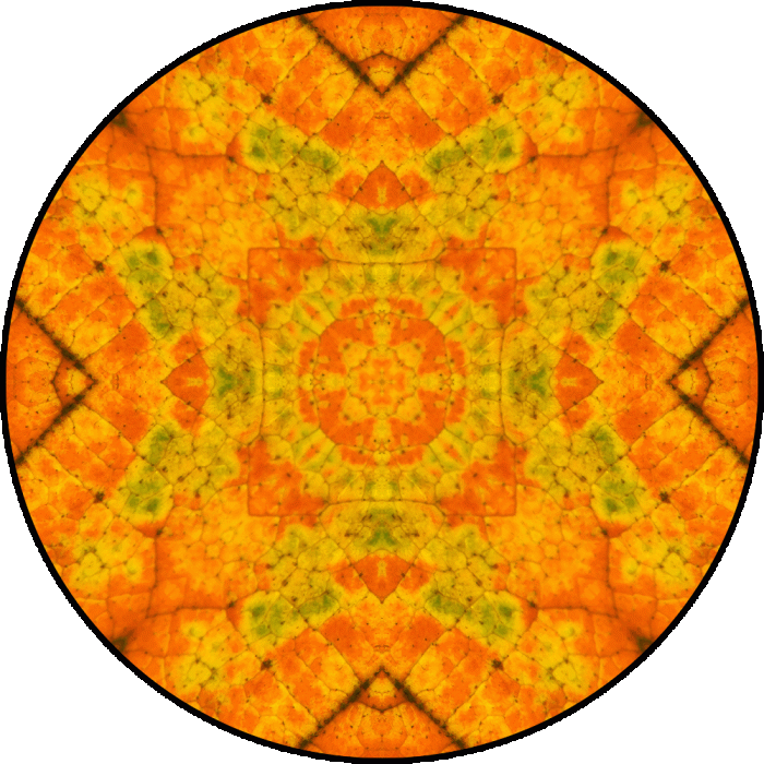 Daily Digital Mandala 844