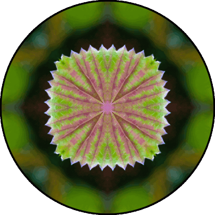 Daily Digital Mandala 848