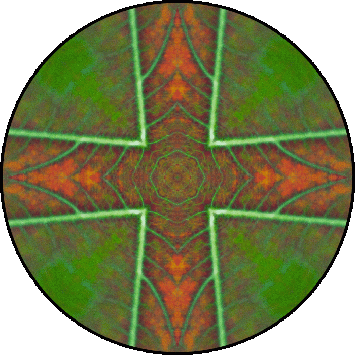 Daily Digital Mandala 853