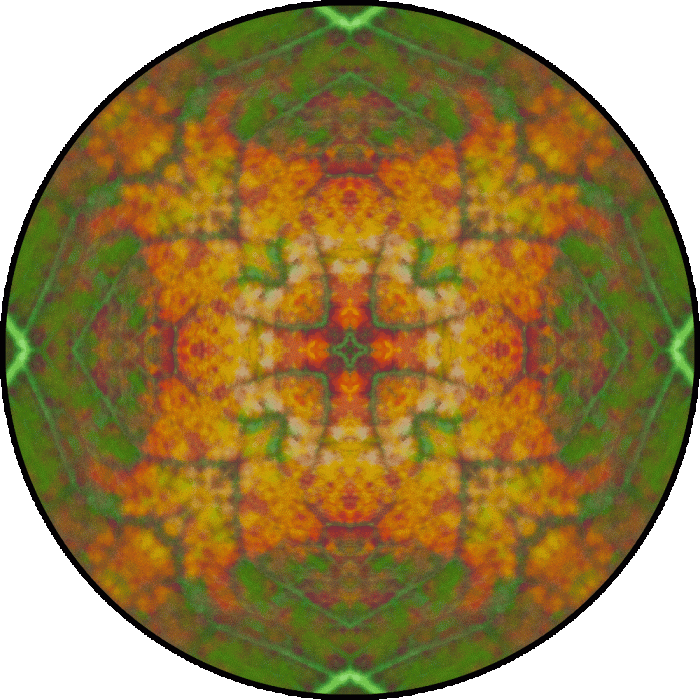 Daily Digital Mandala 854