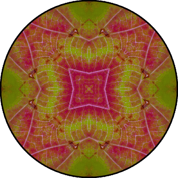 Daily Digital Mandala 855