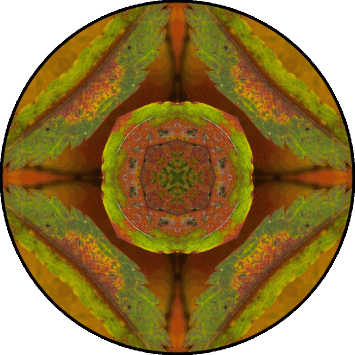 Daily Digital Mandala 859