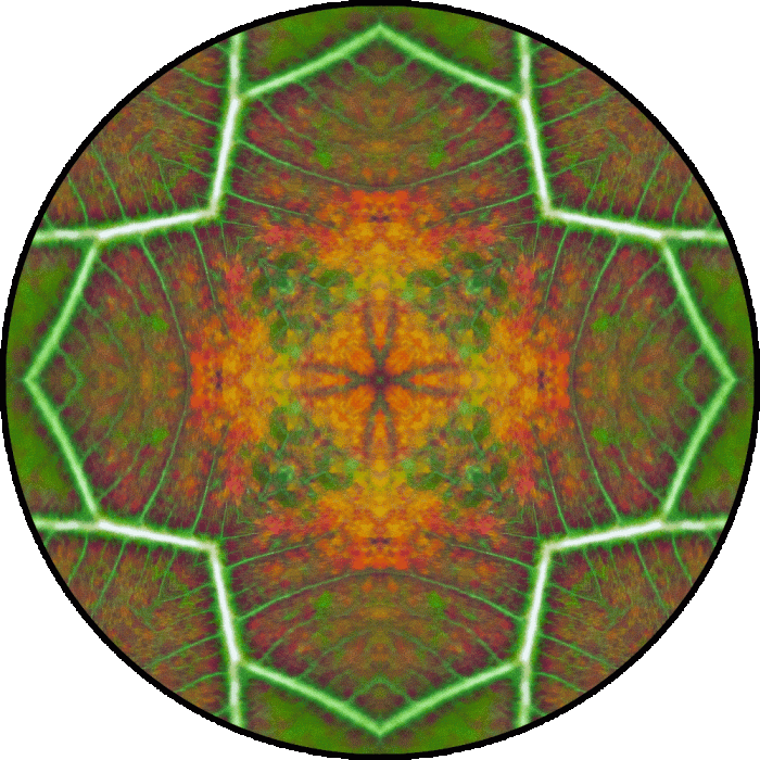 Daily Digital Mandala 870