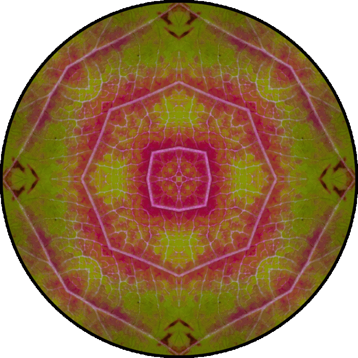 Daily Digital Mandala 871