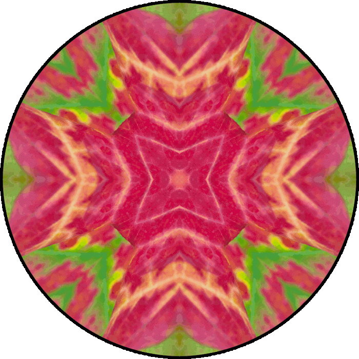 Daily Digital Mandala 872