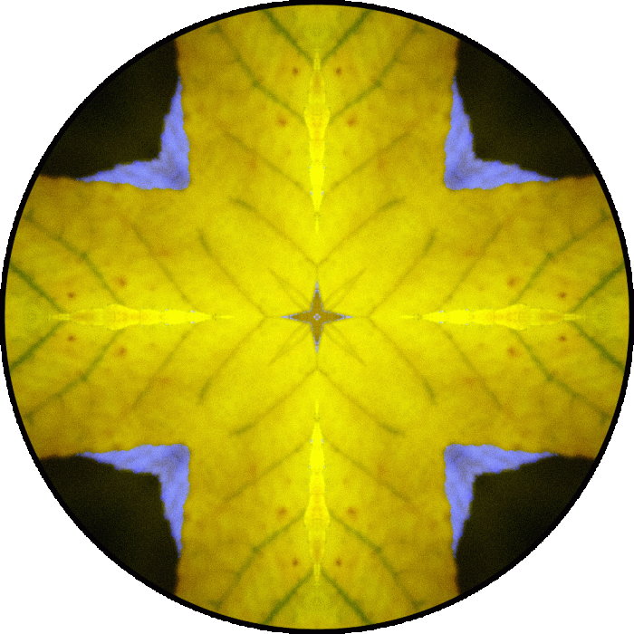 Daily Digital Mandala 873