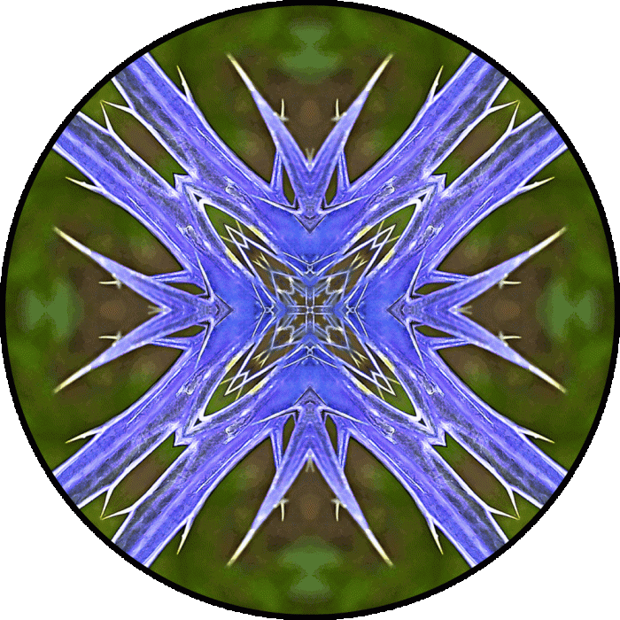 Daily Digital Mandala 861