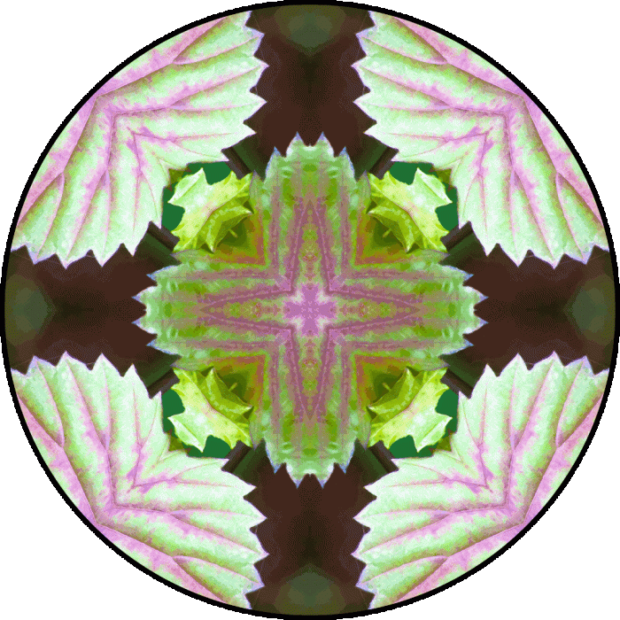 Daily Digital Mandala 864