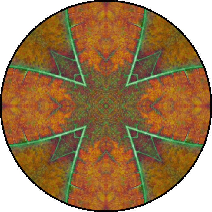 Daily Digital Mandala 869