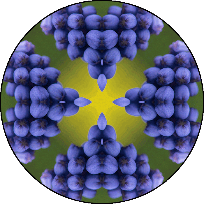 Daily Digital Mandala 892