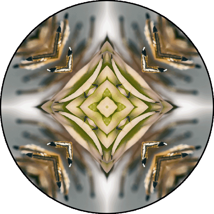 Daily Digital Mandala 886