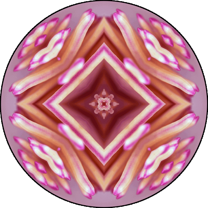 Daily Digital Mandala 887