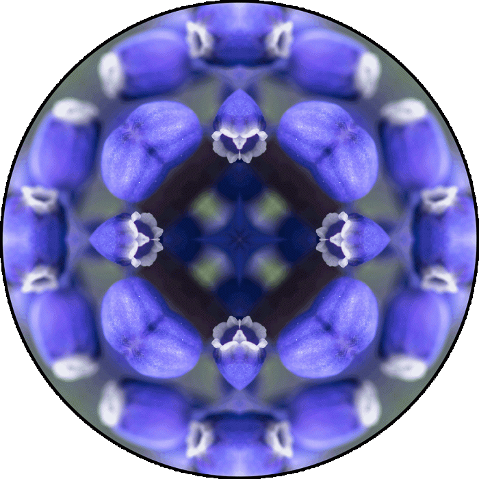 Daily Digital Mandala 875