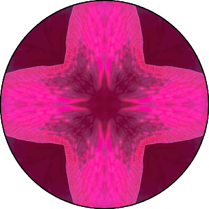 Daily Digital Mandala 890