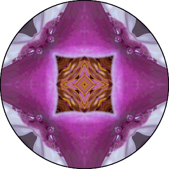 Daily Digital Mandala 879