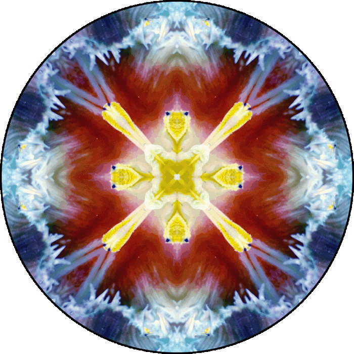 Daily Digital Mandala 900