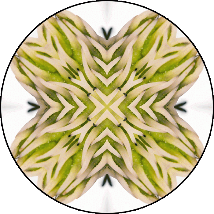 Daily Digital Mandala 904