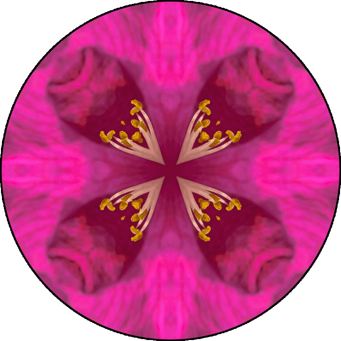 Daily Digital Mandala 908