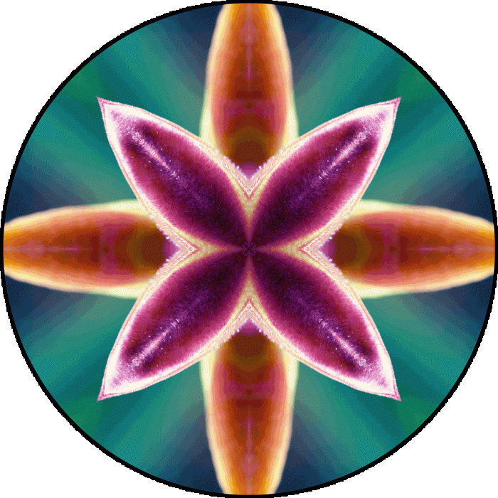 Daily Digital Mandala 909