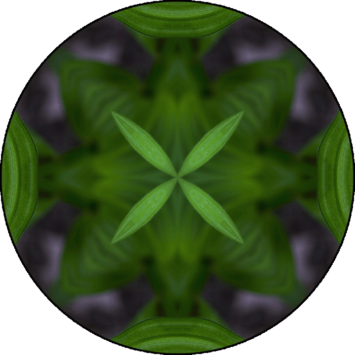 Daily Digital Mandala 895