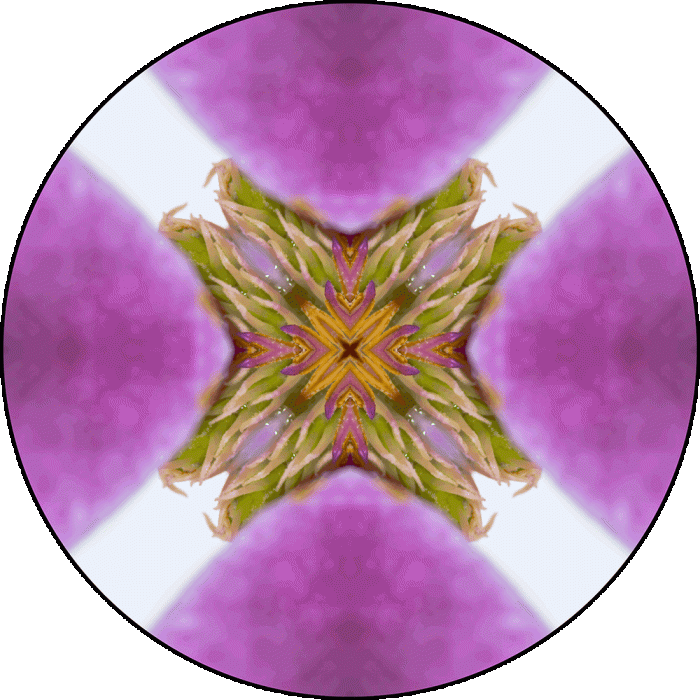 Daily Digital Mandala 1004