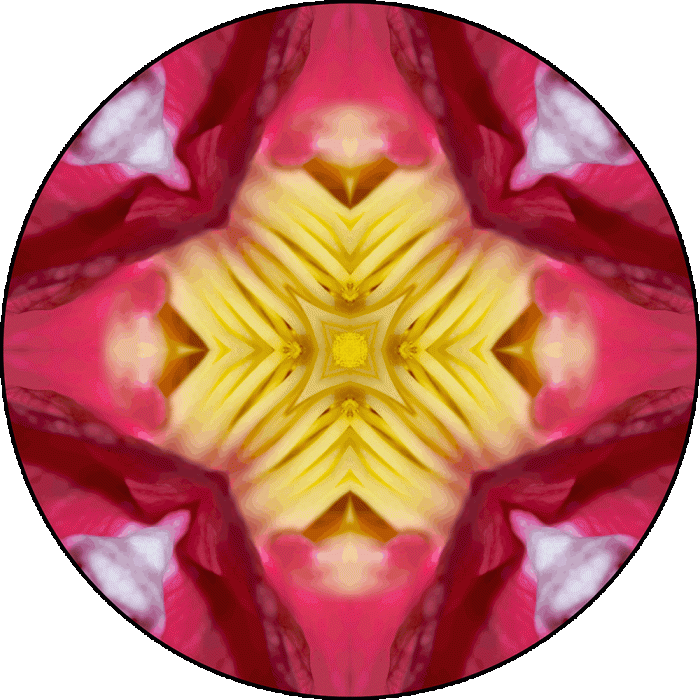 Daily Digital Mandala 912