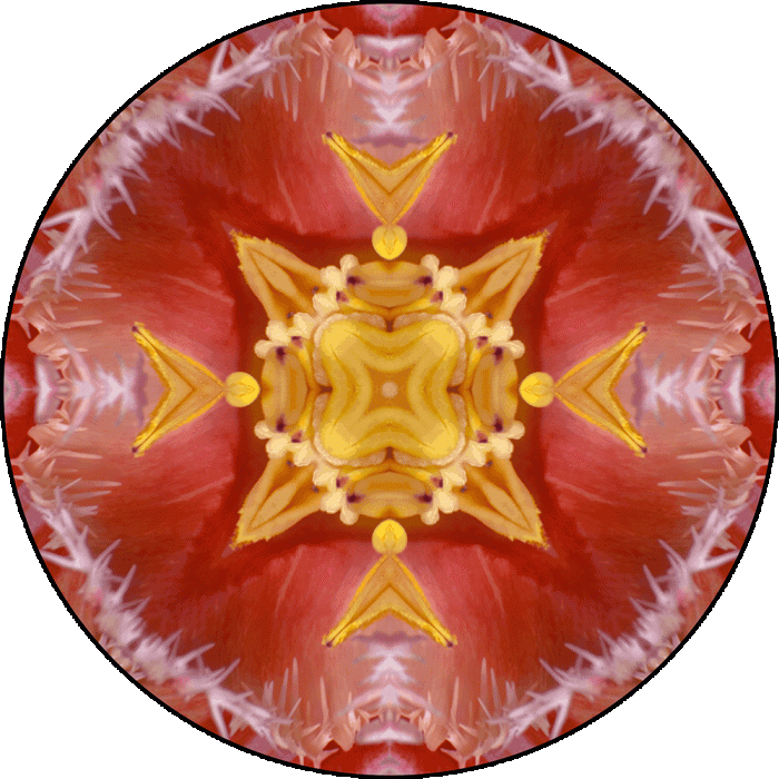 Daily Digital Mandala 918