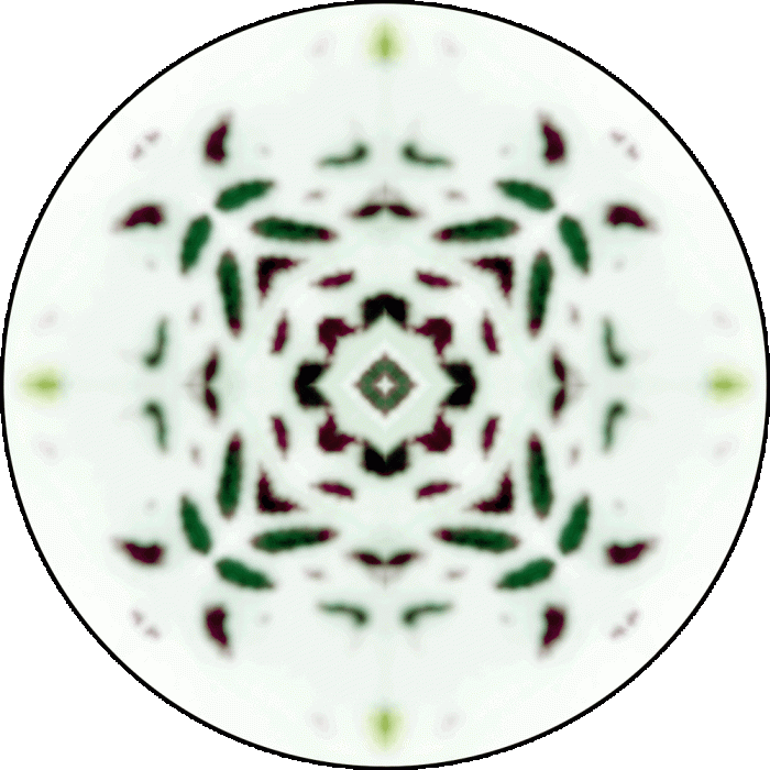 Daily Digital Mandala 921