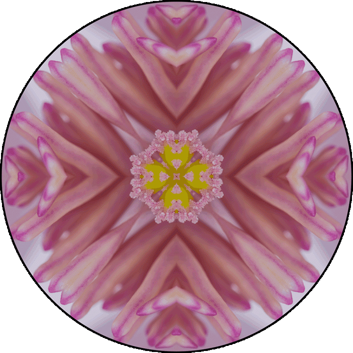 Daily Digital Mandala 923