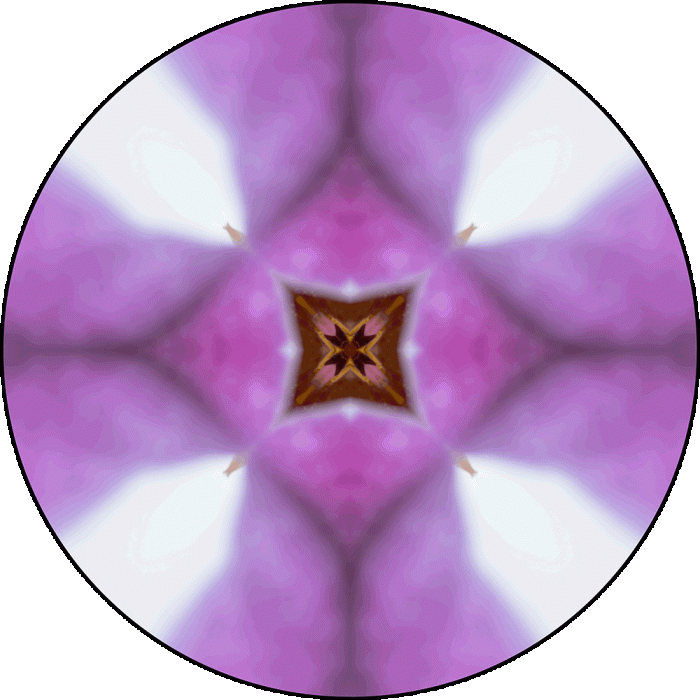 Daily Digital Mandala 897