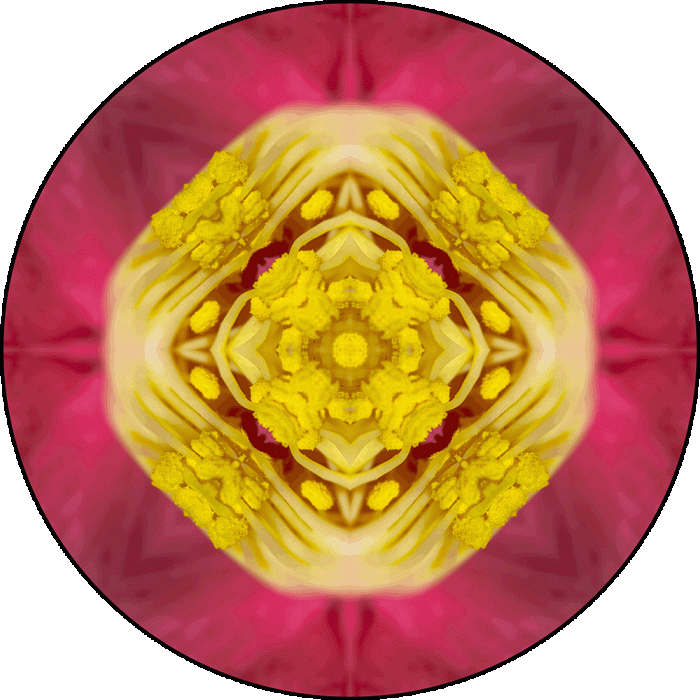 Daily Digital Mandala 930