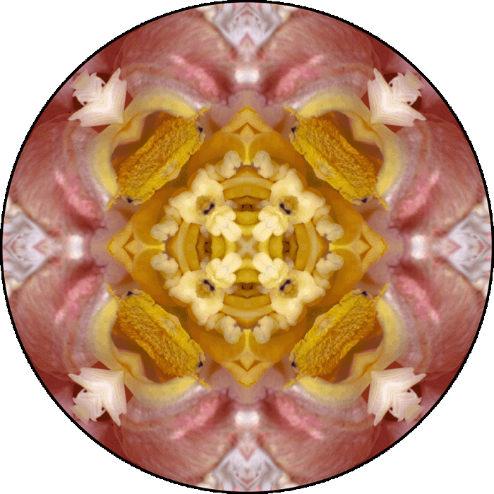 Daily Digital Mandala 936